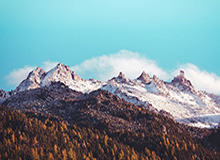 开云-官方：津门虎与方镜淇、哈达斯、黄嘉辉、王献钧完成续约